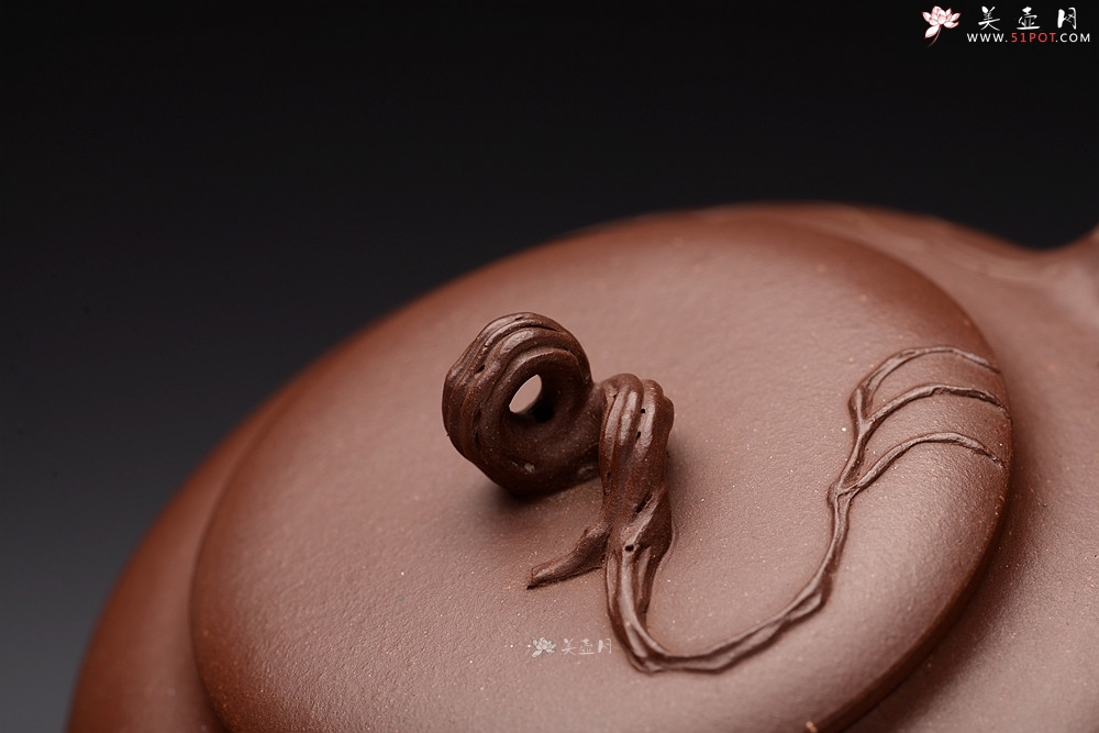 紫砂壶图片：高雪琴全手原创 用心之作 别有风味 忆系列之沙漠 - 美壶网