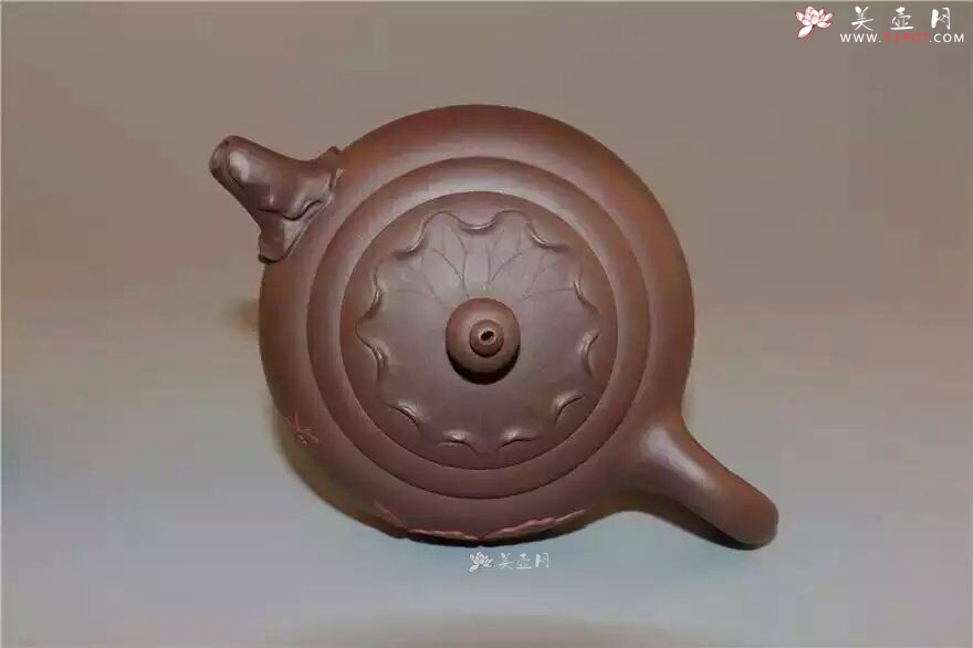 紫砂壶图片：荷悟 - 美壶网