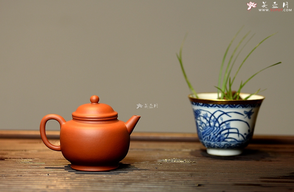 紫砂壶图片：只为茶人 传统器形 铁观音利器 优质朱泥 美壶特惠 全手宫灯 - 美壶网