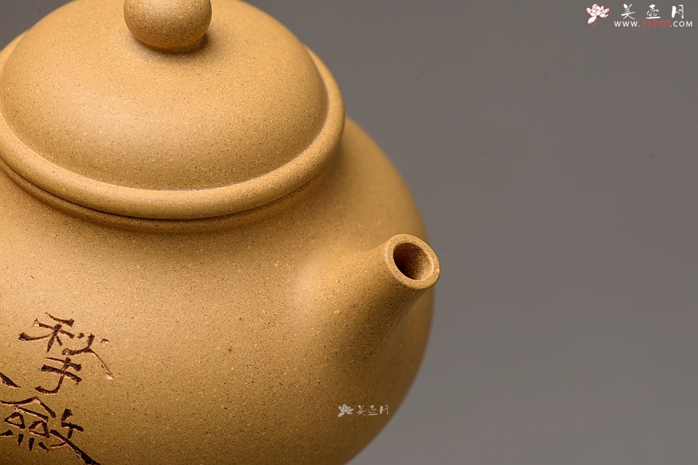 紫砂壶图片：壶中经典 古朴实用 杀茶利器 容天  - 美壶网
