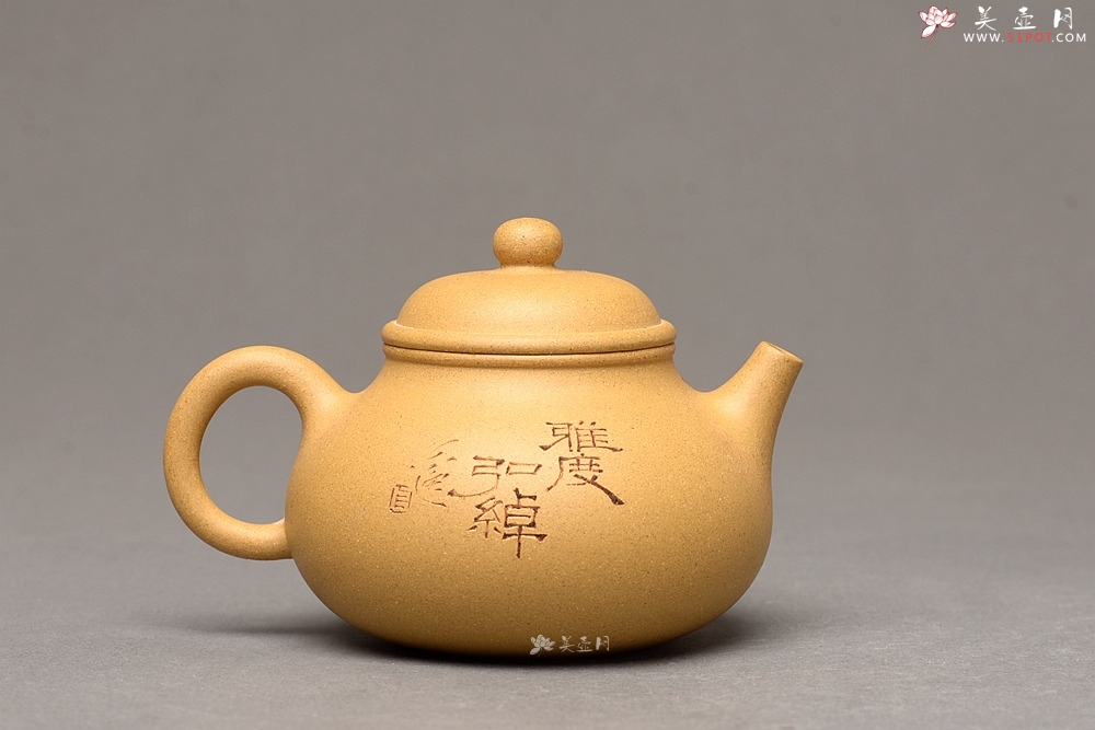 紫砂壶图片：壶中经典 古朴实用 杀茶利器 容天  - 美壶网