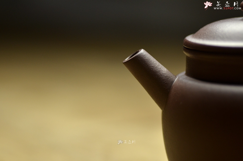紫砂壶图片：美壶特惠 玩味巨轮 茶人最爱 泓渝山房新品  - 美壶网