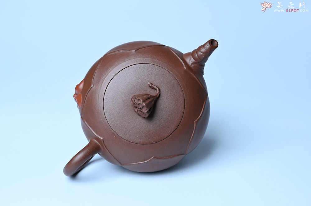 紫砂壶图片：美壶特惠 贴花活灵活现 精致荷花壶 茶人醉爱 - 美壶网