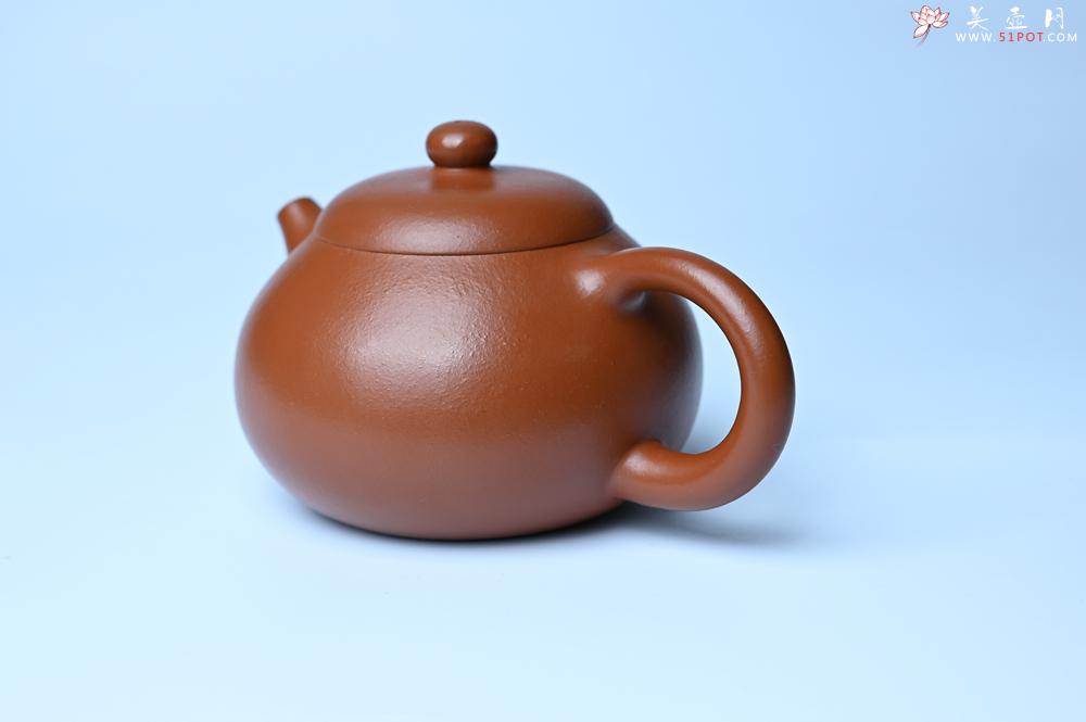 紫砂壶图片：潜力股周小培 油润黄龙山朱泥 全手工文旦壶 壶特好 期待与您结缘 - 美壶网