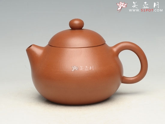 紫砂壶图片：文旦  容量：300cc - 美壶网