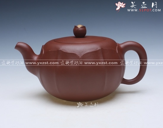 紫砂壶图片：荷花 - 美壶网