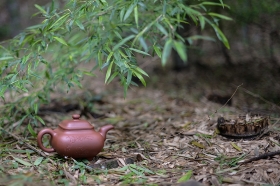 紫砂壶图片：传炉 - 美壶网