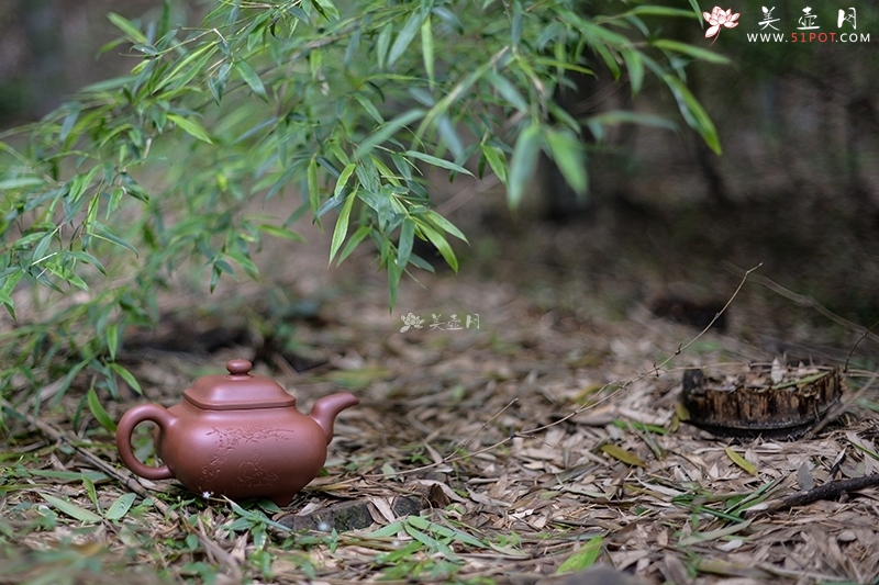 紫砂壶图片：传炉 - 美壶网